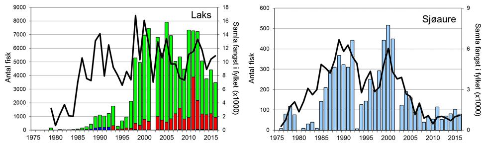 FANGST OG SKJELPRØVAR I BJERKREIMSELVA Gjennomsnittleg årsfangst i perioden 1976-2016 var 3326 laks (snittvekt 2,2 kg) og 168 sjøaurar (snittvekt 0,8 kg).