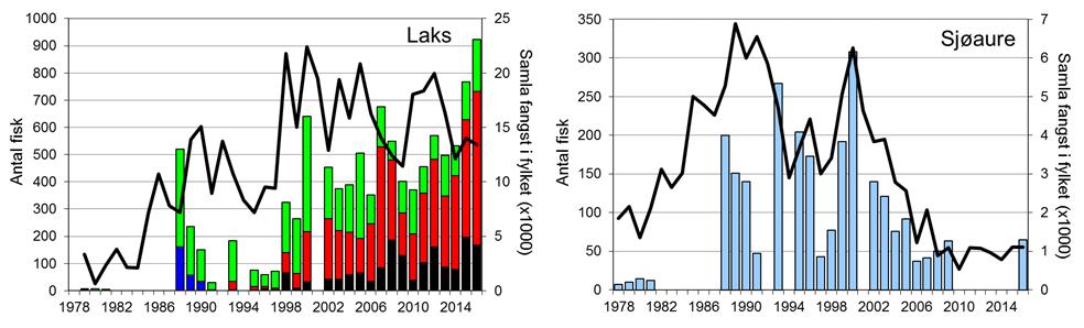 FANGST OG SKJELPRØVAR I ESPEDALSELVA Gjennomsnittleg årsfangst av laks i perioden 1988-2015 var 403 (snittvekt 3,9 kg).