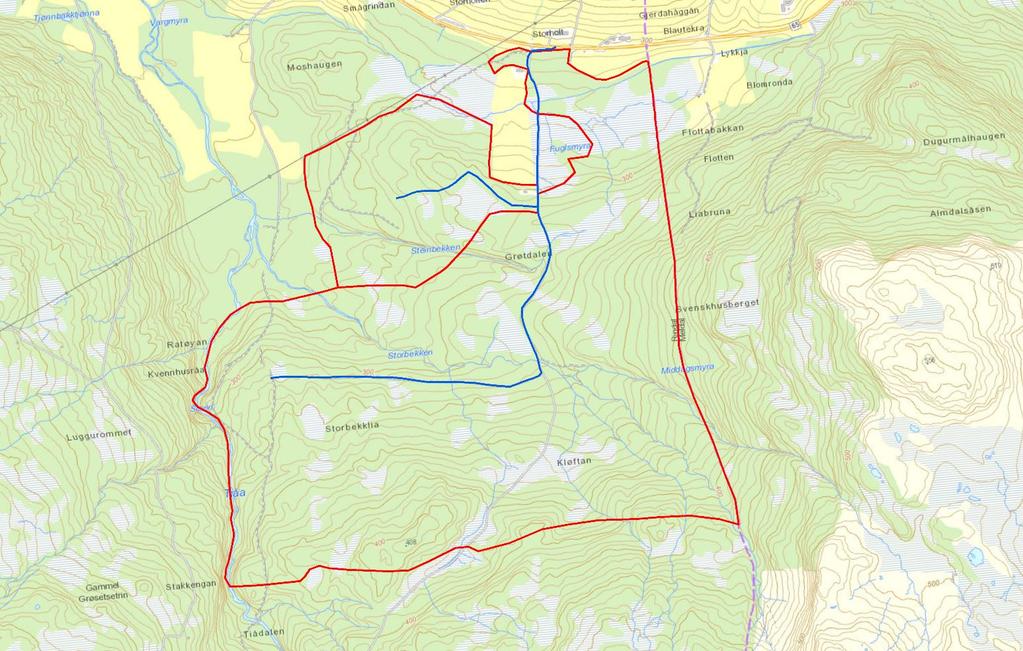 Gjennomføring Med skogbrukssjef inntegning av