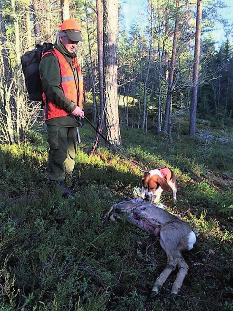 Bilder fra den andre fellesjakta 26.