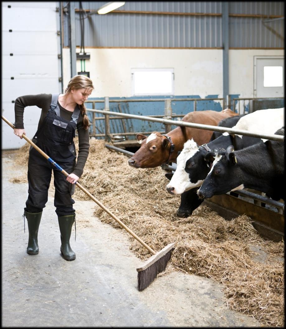 Spørsmål 9: Besvares av Aksjeselskap o.l. Arbeidsinnsats fra fast arbeidshjelp.