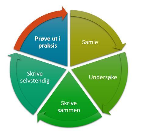 Sirkelen for læring og undervisning i