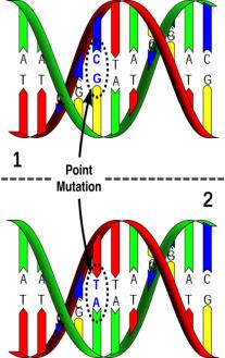 DNA, RNA og proteiner. Endringer i DNA/RNA som påvirker genekspresjon (mrna) og dermed endring i mengden (uttrykket) av proteinene Hvilke endringer ser vi etter?
