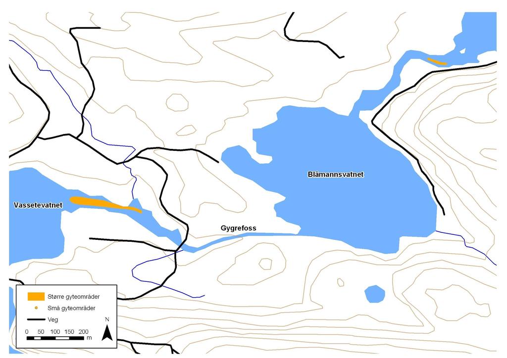 Strekningen Vassetevatnet Blåmannsvatnet: Øvre del er relativt stri med store blokker og bart fjell