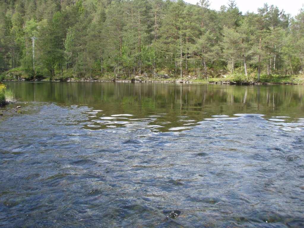 I den nedre delen fra Øyrahølen og ned til Blåmannsvatnet er elva mer stri og hurtigrennende.