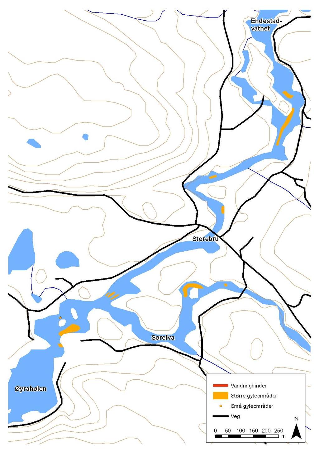 Figur 6. Gyteområder lokalisert ved dykkerobservasjoner i Osenvassdraget på elvestrekningen mellom Blåmannsvatnet og Endestadvatnet sommeren 2009.