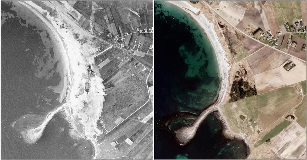 Figur 18. Flyfoto som viser endringer i utbredelsen av sanddynemark Steinsvika og Nordhasselvika mellom 1956 og 2011. I Norsk rødliste for naturtyper er sanddynemark kategorisert som sårbar (VU).