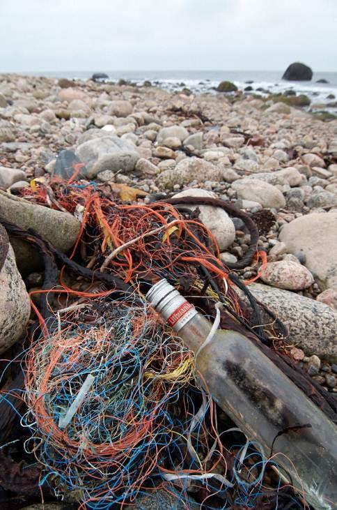 Utslipp av næringsstoffer og kjemikalier fra landbruk og urbane områder Farsund er fylkets største landbrukskommune og har store arealer med intensiv jordbruksproduksjon, blant annet på Lista.