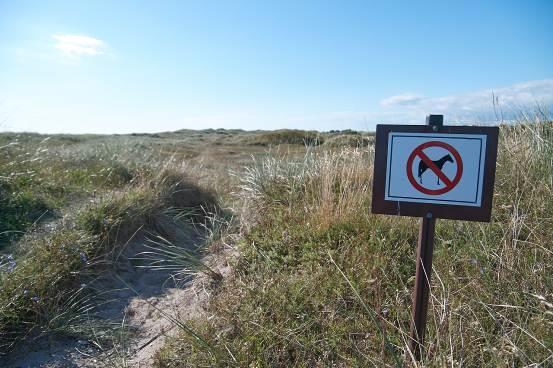 Fylkesmannen har en streng forvaltningspraksis ved dispensasjon for ferdsel med hest utenfor godkjente stier, veier og traséer.