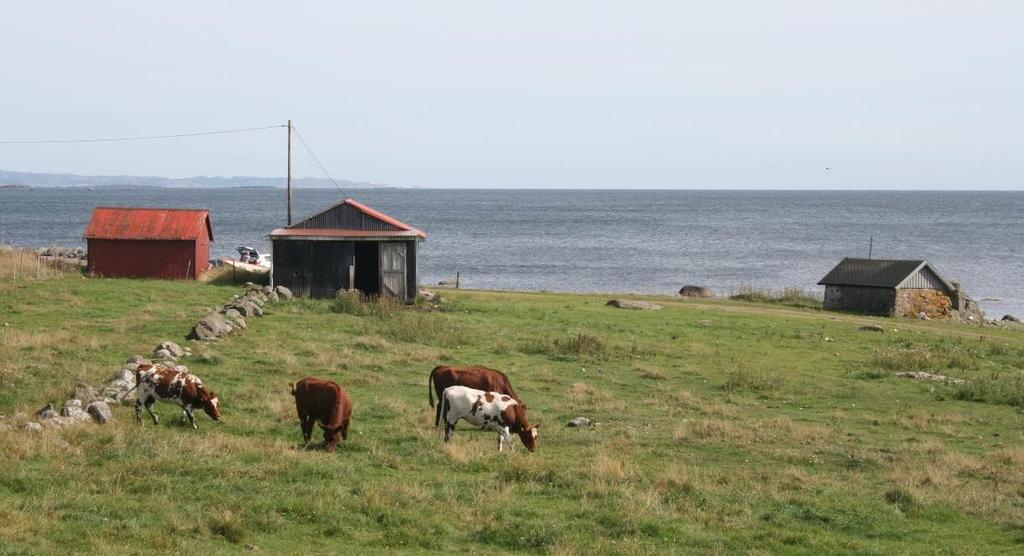 7 Naturbasert reiseliv og annen relevant næringsvirksomhet I dette kapitlet omhandles verdiskaping og næringsutvikling som retter seg mot den kommersielle turismen og reiselivet.