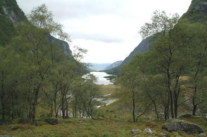 Vurdering av landskapsområder i Hordaland Landskapstype: KYSTFJELLDALER Representert i region: LR 21 Antall LO i typen: 25 Svært stor verdi: 0 Stor verdi: 1 Middels verdi 9 Vanlig forekommende: 15