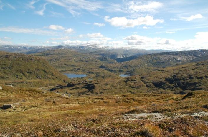 Vurdering av landskapsområder i Hordaland Landskapstype: LÅGFJELLSDALER OVER TREGRENSA Representert i region: LR15, LR16 Antall LO i typen: 34 Svært stor verdi: 0 Stor verdi: 3 Middels verdi 17