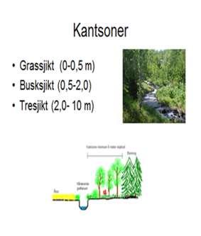 Skjøtsel av kantsoner Bevare karaktertrær (tresjikt) Lauvtre la stå igjen enkeltvis eller i klynger. Minst et større lauvtre/ gruppe per 10-20 m.