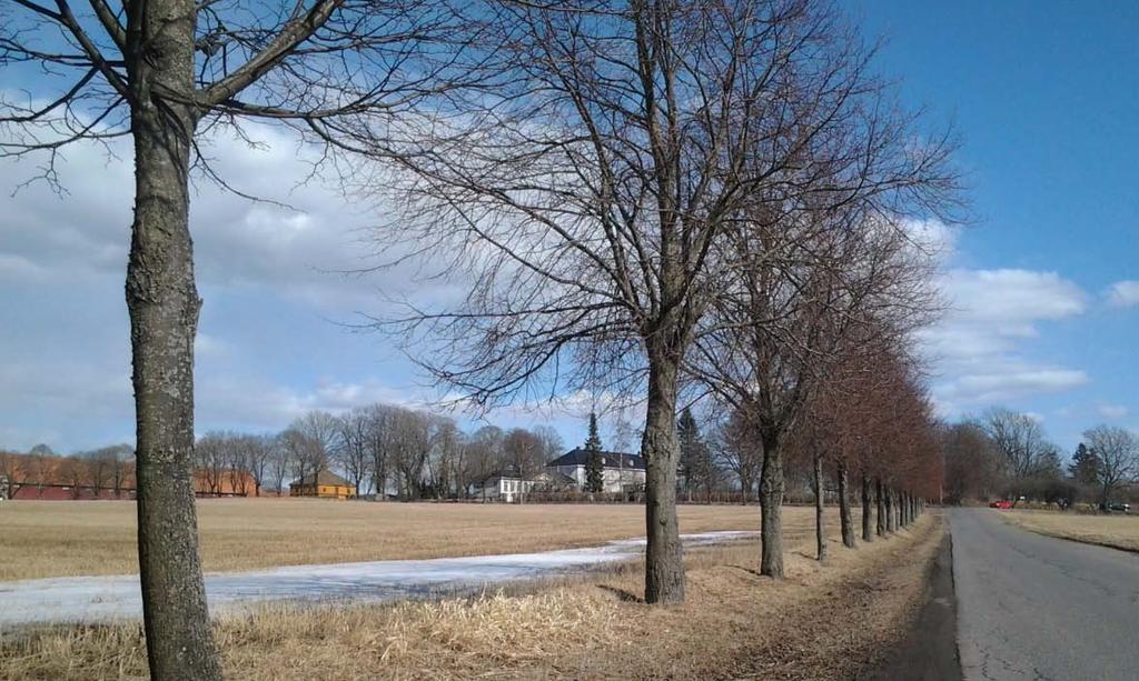 HØRINGSUTKAST Forvaltningsplan for Værne kloster landskapsvernområde med biotopvern, Telemarkslunden Ekebylunden naturreservat,