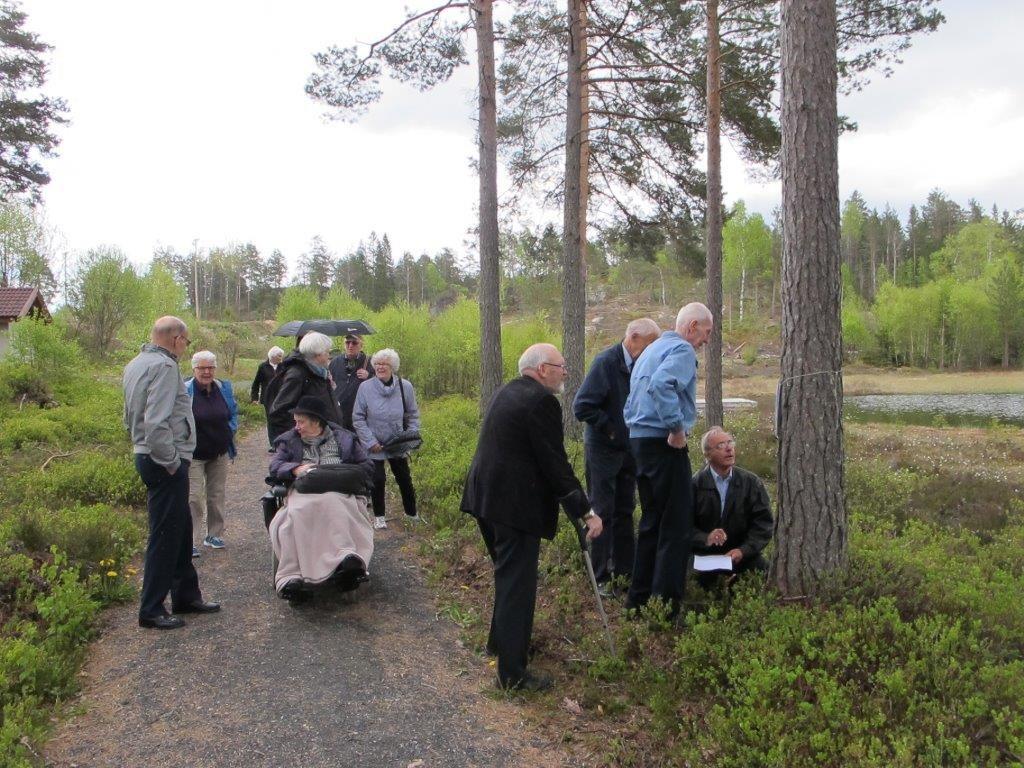 8. Publisering Sammendrag Turvegprosjektet i Drangedal kommune ble igangsatt i 2011 og vil foreløpig vare ut 2016.