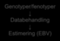 Databehandling Estimering (EBV)