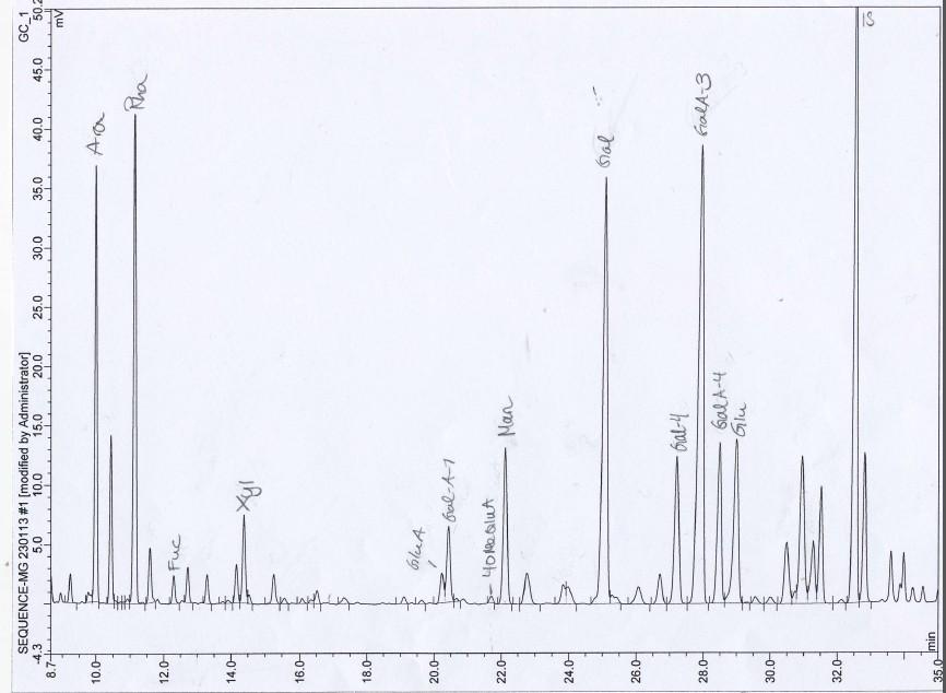 6.2 Struktur- og aktivitetsforhold - Lippia chevalieri 6.2.1 Karbohydratanalyse Figur 6-6 Eksempel på et GC-kromatogram. Dette er monosakkaridsammensetningen for LC50S1.