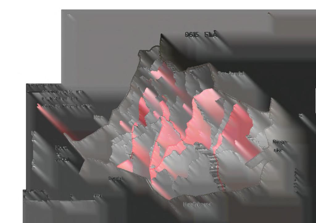 Sør-Aurdal Ringerike 0615 FLÅ