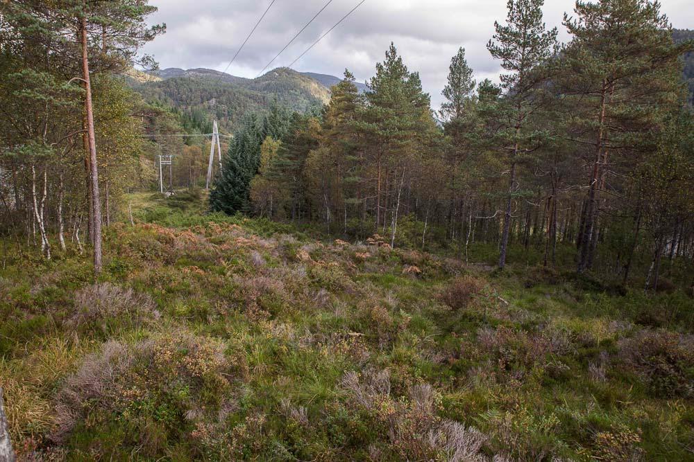 Over: Nåsituasjon av øvre delen av Tangedalen riggplass,