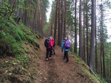 Ingen sti over skoggrensen Turen starter fra Nordland nasjonalparksenter eller parkeringsplassen på nordsida av Junkerdalselva.