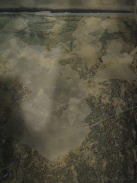 Figur 5. Sedimentoverflaten i boks med hel stabilisert sediment i sjøvann. Bildene ble tatt 29.06.2009. Tabell 3.