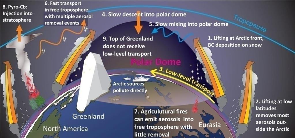 Figur 9: Skjematisk framstilling av transporten (av BC) til Arktis (Stohl, 2006; AMAP, 2011). Tegningen er mest relevant for situasjonen om vinteren. Sommerstid er polkappen ( polar dome ) mindre.