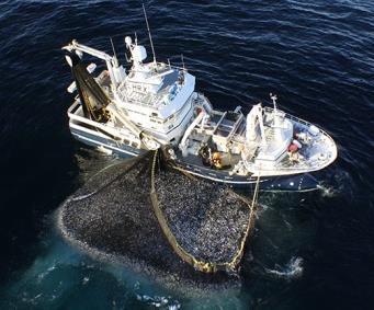surveys and fisheries Fisheries negotians Between