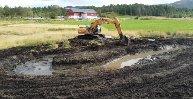 Utbygging av oppvekstområde for elvemusling: Haukåsvassdraget var den første bestanden som ble dyrket ved kultiveringsanlegget for elvemusling på Austevoll.