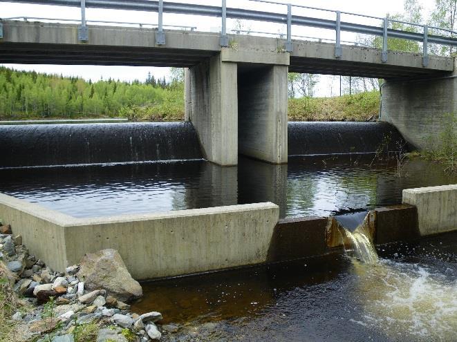 Et forebyggende tiltak ved en eventuell utbygging kan være å flytte muslinger vekk fra den berørte strekningen.