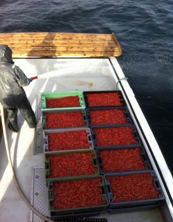 2014 - Chedabucto Bay, Nova Scotia - Fiskere med