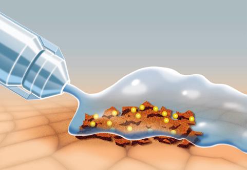 Betainholdige løsninger har en lavere overflatespenning enn vann og vil derfor trenge inn i og virke oppløsende på biofilm og dødt vev. Polyhexanid er et antibakterielt middel.