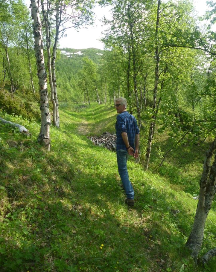 Figur 5: Den gamle kjørevei imellom slåttemarkene med ID 3, 4 og 5 har