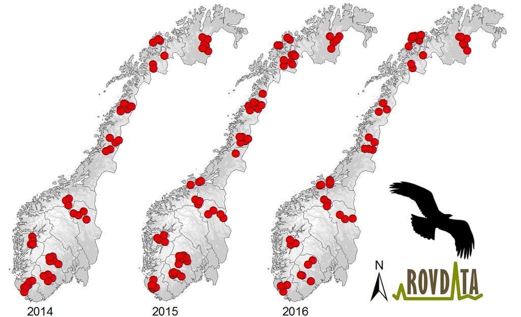 Figur 3. Kart som viser fordeling av vellykka hekking (territorium med produksjon av ungar > 50 døgn) i intensivområda i perioden 2014 2016. Aure vart ikkje sett i drift før 2015.