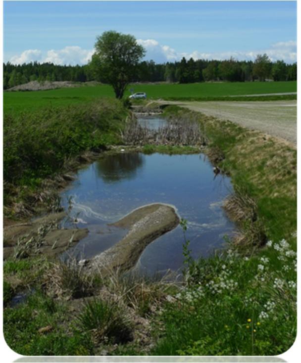 Fangdammer Konstruerte våtmarker som fanger opp og holder igjen jordpartikler, næringsstoffer og plantevernmidler Status i Vestfold: 50 fangdammer er anlagt - renseeffekt 1000 kg P/år Eksempel 1