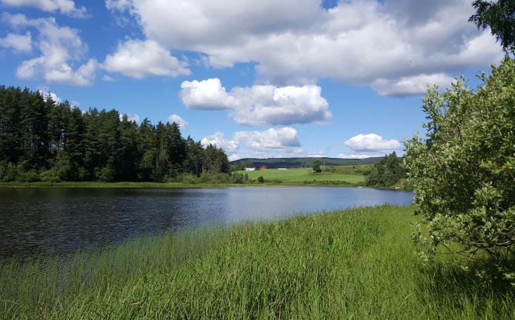 42 av 81 trafikale konsekvenser, trafikk på lokalt og regionalt sidevegnettet, tilgjengelighet for trafikk til og fra nærområdene og konsekvenser for natur og miljø.