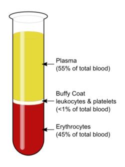 For oss ble «Guide to the preparation, use and quality assurance of blood components» et hjelpemiddel i utregning av prøvetakingsfrekvenser ved innføring av SPK.
