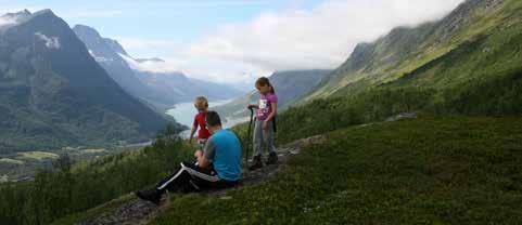 Gå opp mot kirkegården og skogsveien går like til høyre for kirkegårdsgjerdet.