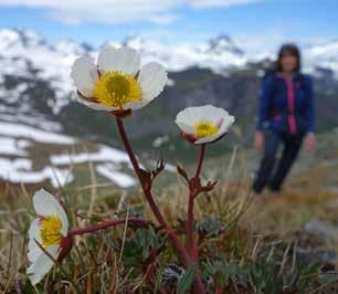 Følg skogsvei mot Lyngseidet forbi Stelen og videre merket løype under fjellfoten mot Lyngseidet ca.