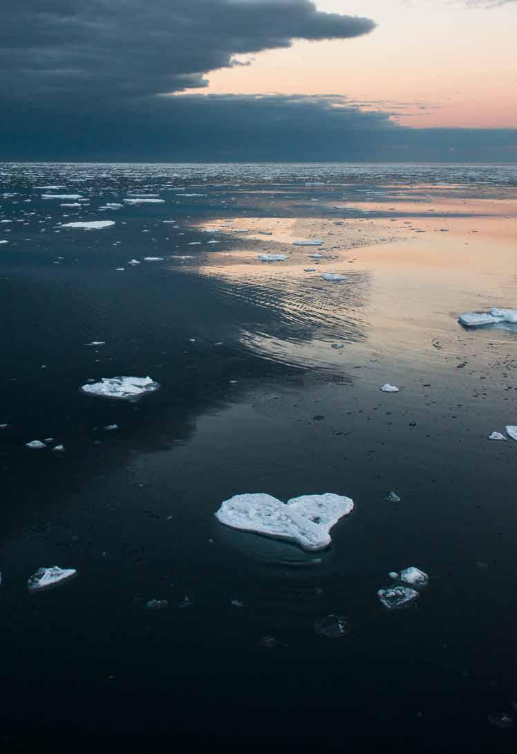 RAPPORT NO 2017 Der havet møter isen LIVET PÅ KANTEN Roy