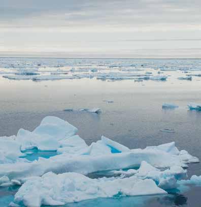AKTIVITET BETYR RISIKO Arktis blir mer tilgjengelig for kommersiell aktivitet som utgjør en ytterligere risiko for de truede leveområdene. VERN MÅ TIL!