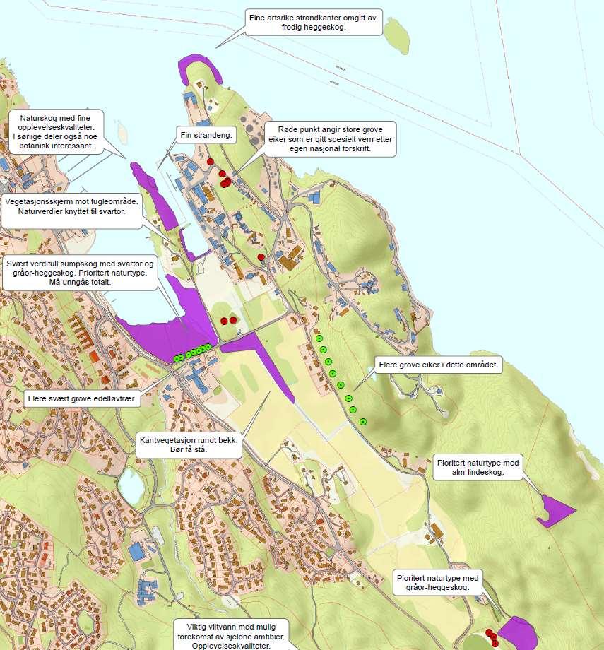 9 3.4 Miljøtema: Naturmangfold og biologisk mangfold Registreringer av naturmiljø 2013, Norconsult AS.