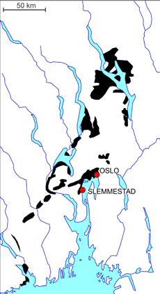 Denne slekta representerer for øvrig en av de tidligst kjente spiralsnodde nautiloideene.