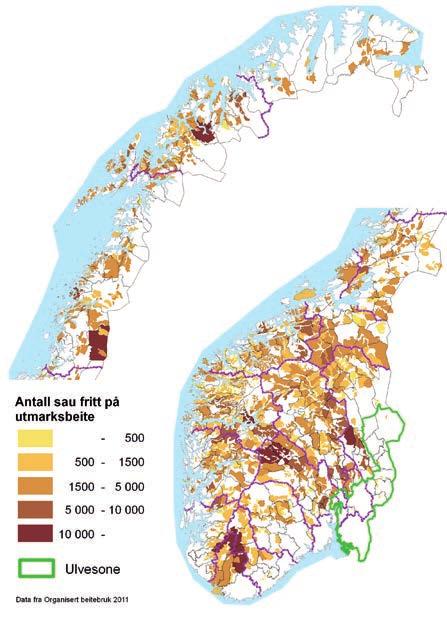 500000 450000 400000 350000 300000 250000 200000 150000 100000 50000 0 Antall søyer og lam fordelt på fylke pr. 31.7.