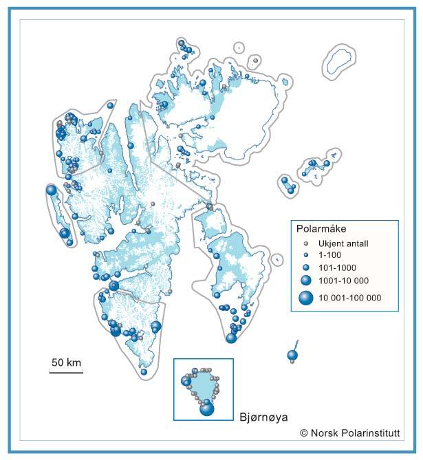 Side 1 Appendix VI Beskrivelse av arter Informasjon om størrelse på bestander og utbredelse av fugler på Svalbard. All informasjon er hentet fra Polarinstituttets hjemmesider se http://npweb.npolar.