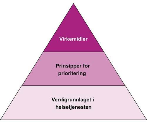 Prioritering Verdigrunnlag Prinsipper Nytte Ressursbruk Alvorlighet