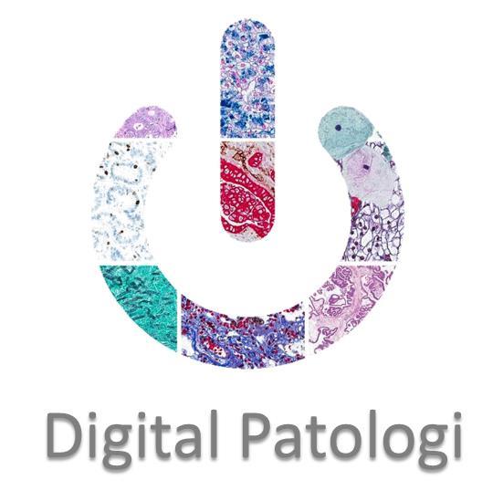SLUTTRAPPORT FOR 61 NIKT Digital Patologi Konseptstudie Godkjent dato: Godkjent av
