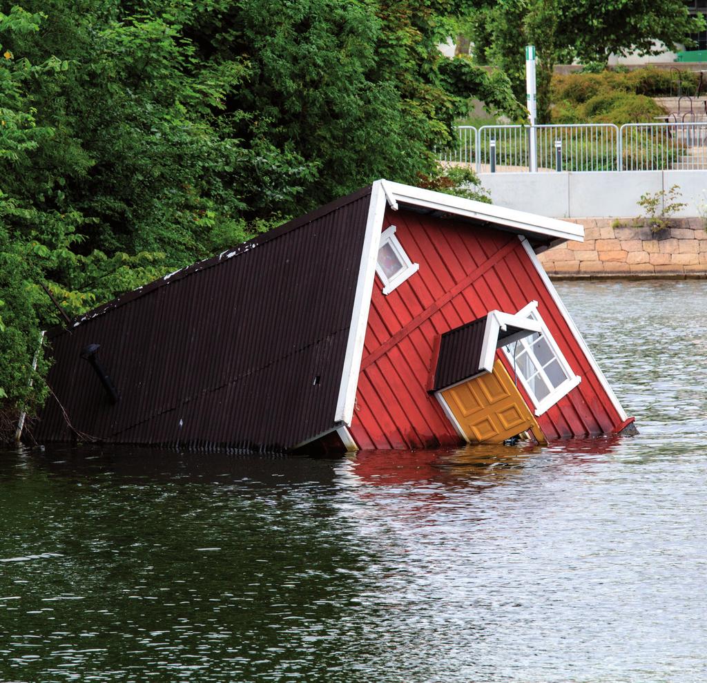 RÅDMANN VEILEDER I EGENBEREDSKAP