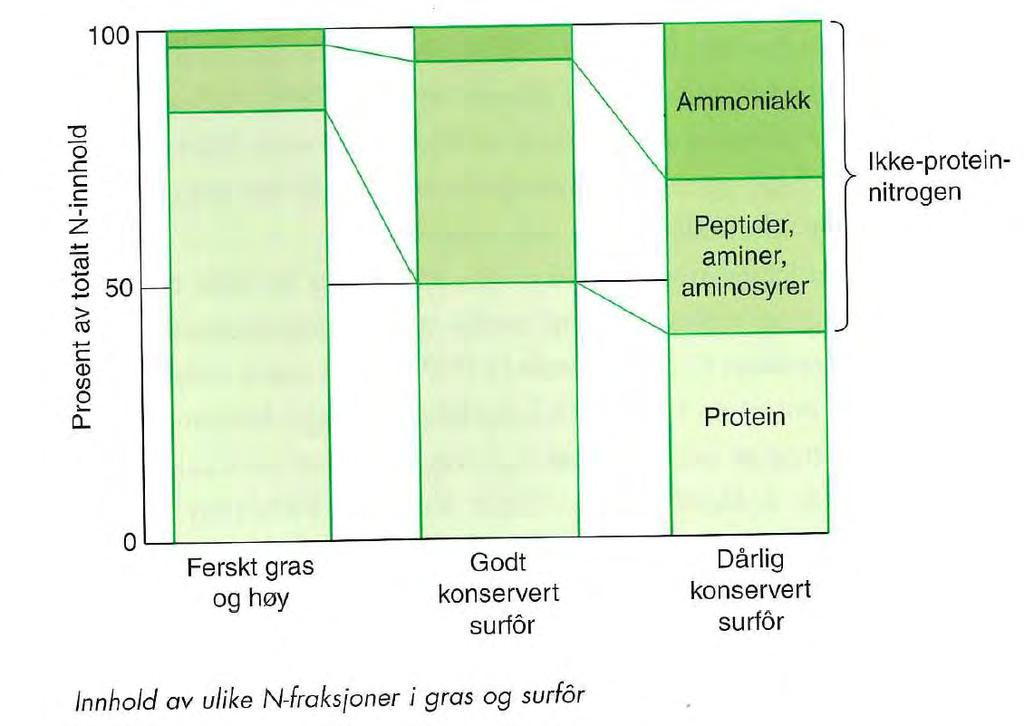 Sammenheng mellom nitrogentilførsel og fôrkvalitet Økt nitrogengjødsling fører til økt protein- og nitratinnhold i graset= vanskeligere å oppnå god
