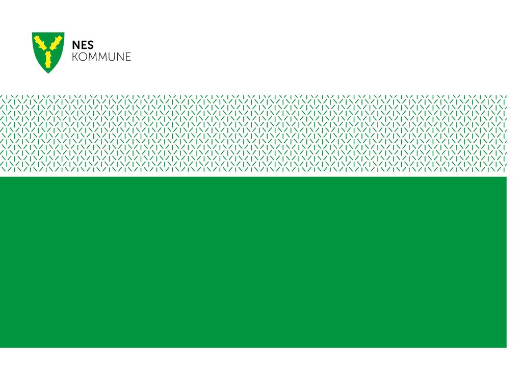 NES MILJØPARK AS RÅDMANNENS KORRIGERINGER Basert på samtale med styreleder