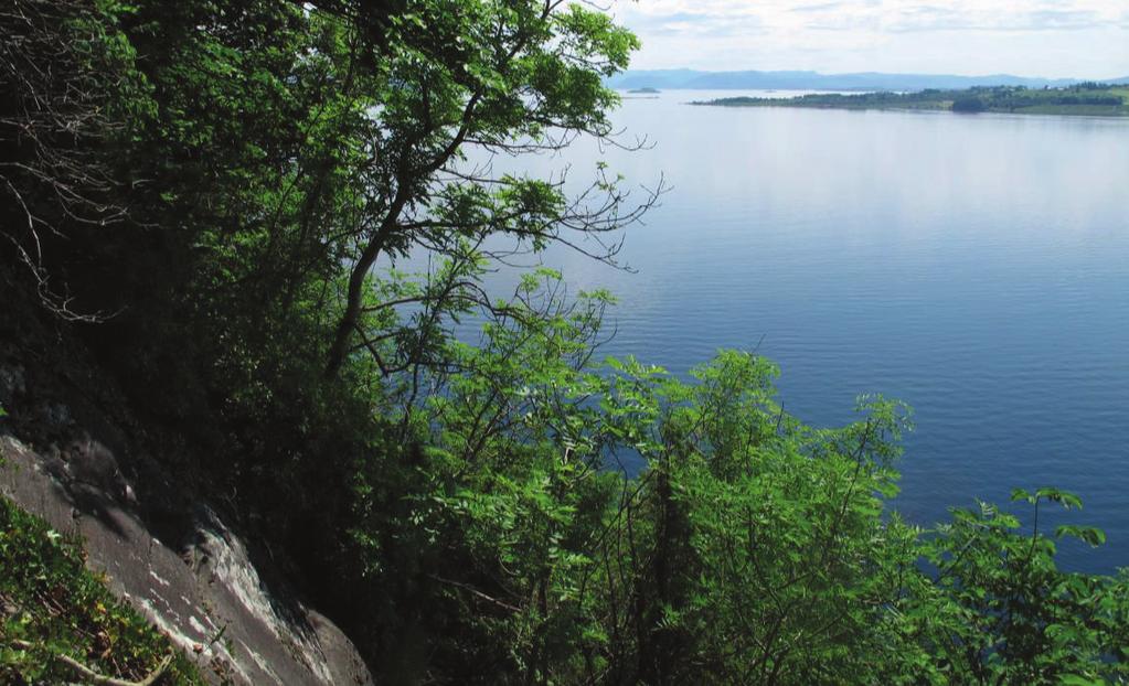 Generelt Området ligg i (stup)bratt terreng ned til Mastrafjorden, rett vest for sørspissen av Rennesøy.